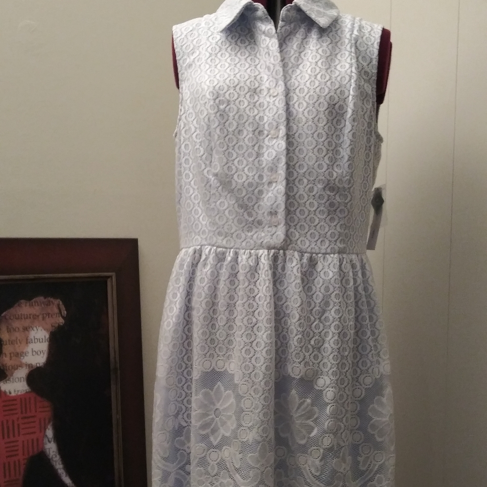 NWT Plus Size Blue White Sandra Darren Dress SZ 14